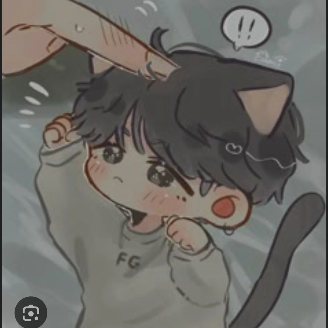 노미