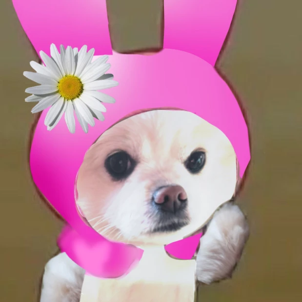 두순이