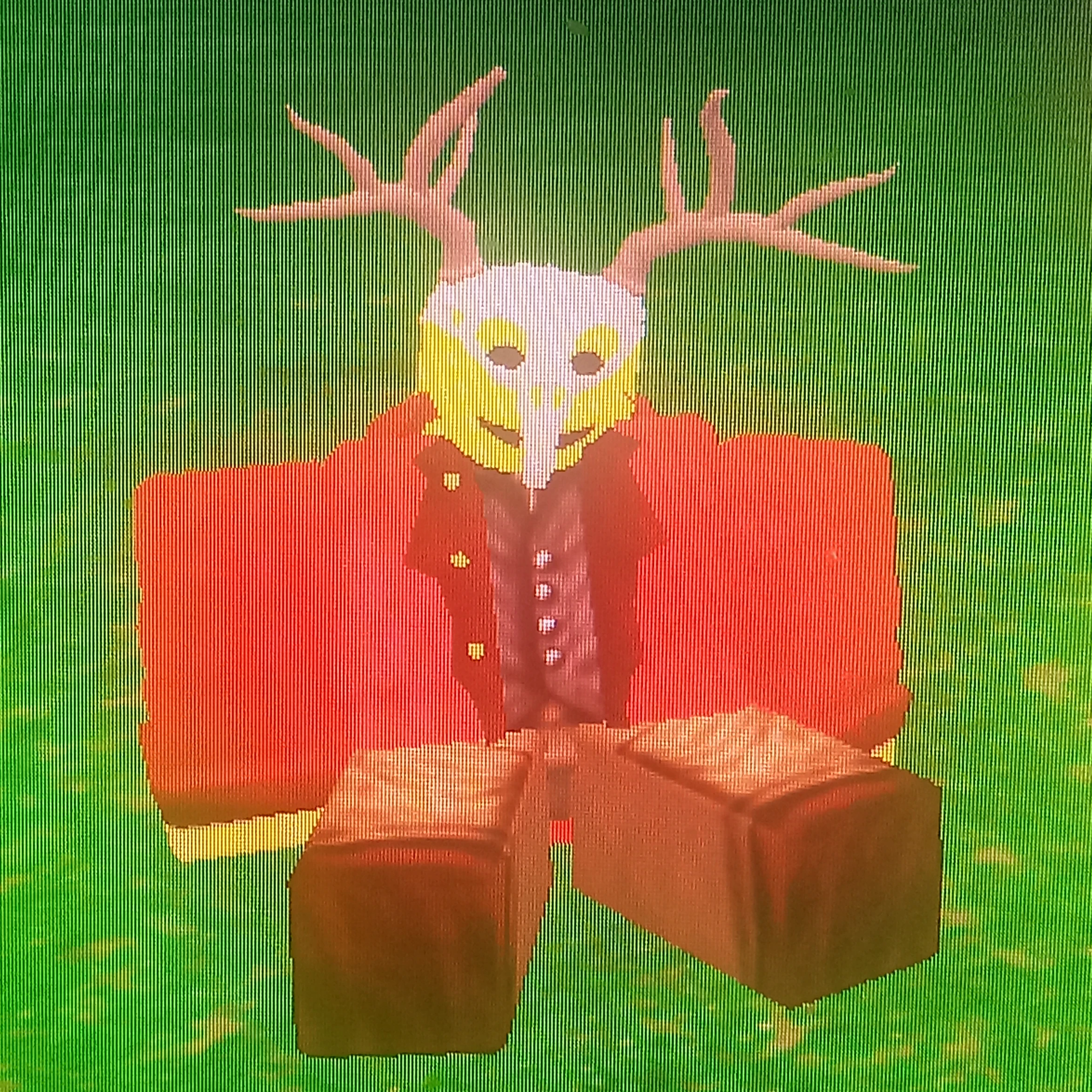 크로스볼 신도