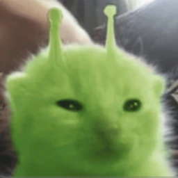 엔엘
