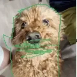 단단