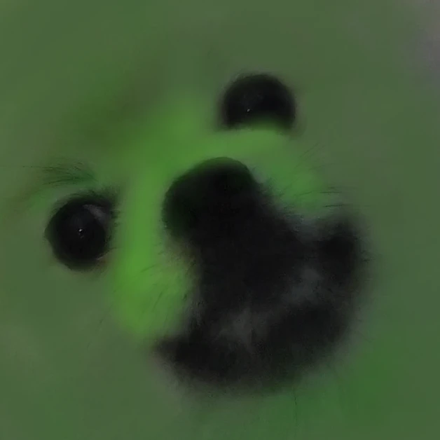 파크