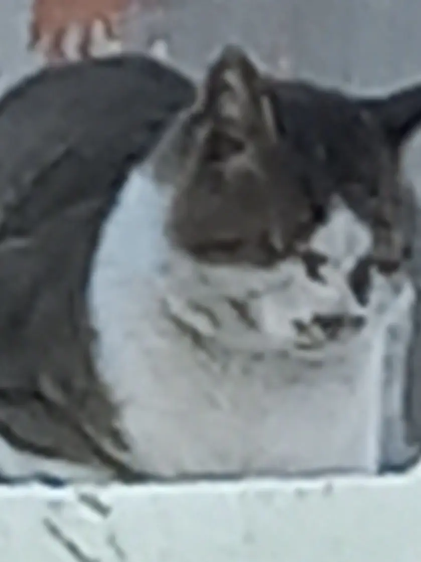 YunHaLee의 오해라구!!!