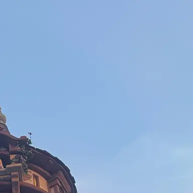 Profile image of みあ
