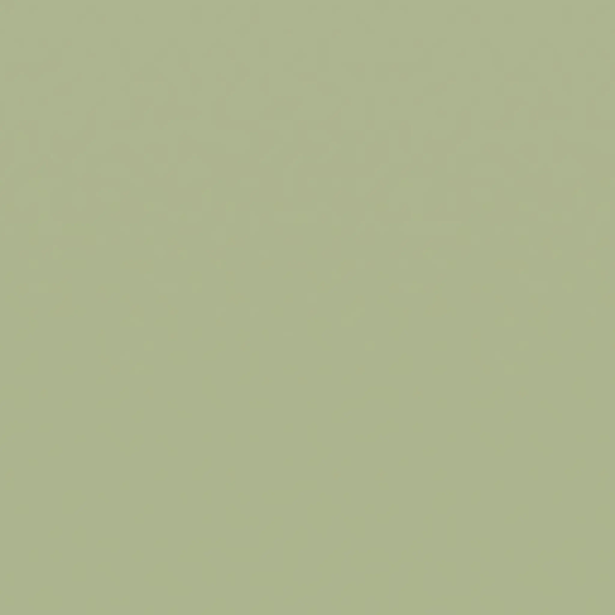 LemonyBilby3164의 個人用です