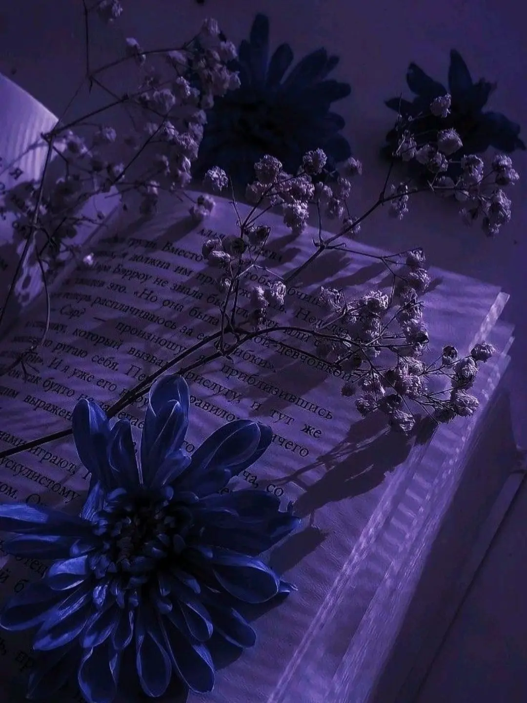 miougi_910의 俺を飼い慣らして