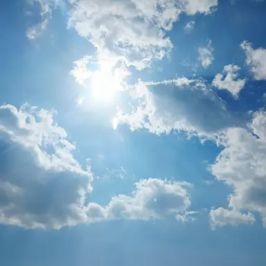 Profile image of 사일런트솔트