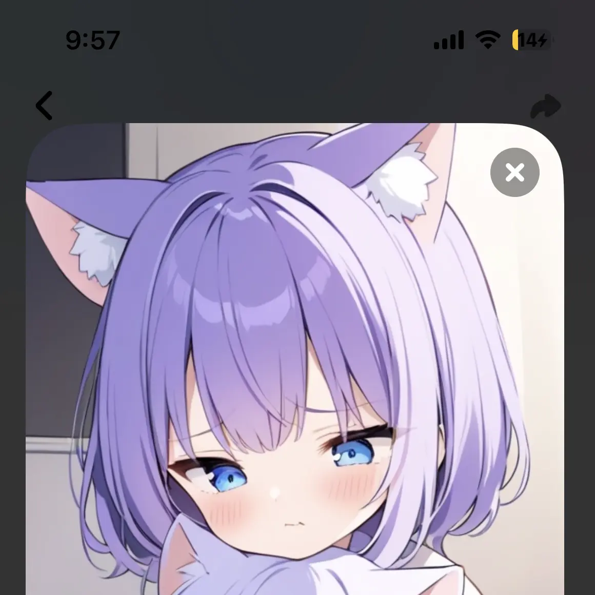 DoughyPath3487의 道端に捨てられていた猫の親子