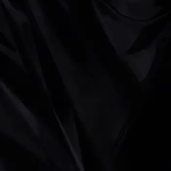 Profile image of 黒幕