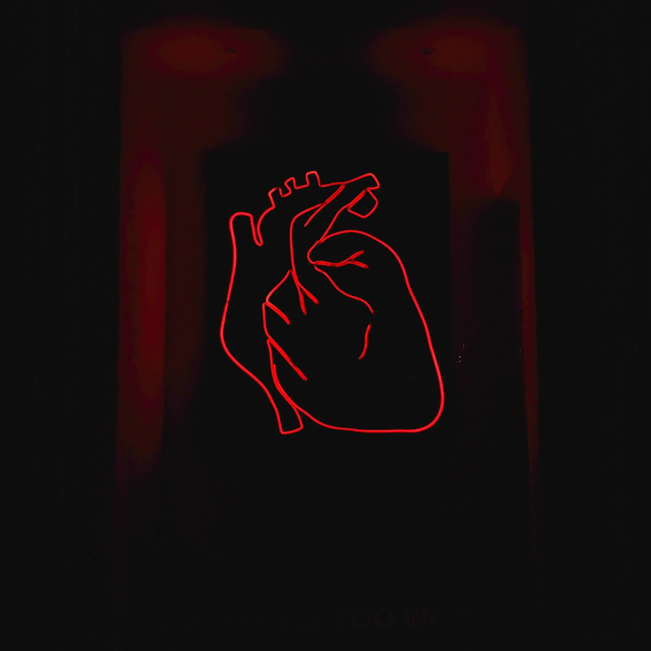 msg_1113의 All I want is you