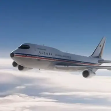 Profile image of 비행기 사고 006