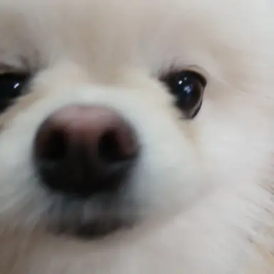 Profile image of 이지윤