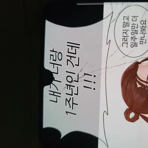 StormyBongo4553의 백성준