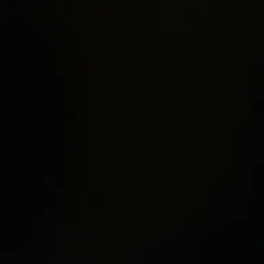 Profile image of 유지민