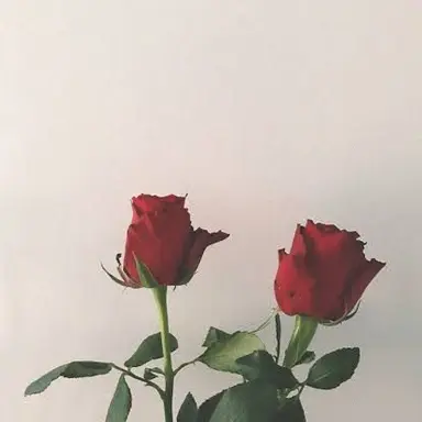 Profile image of 大森 元貴 。