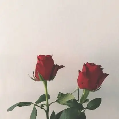 MrsLove2015223의 元ストーカー元貴VSメンヘラ兄弟