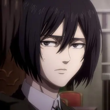 Profile image of ミカサ