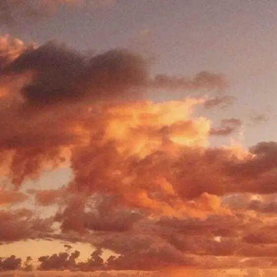 Kila의 교수님 과제가 너무 많아요..