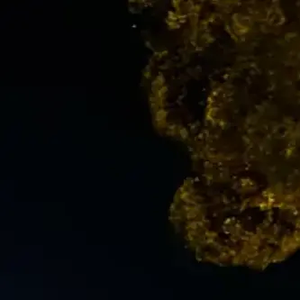 Profile image of 신지선