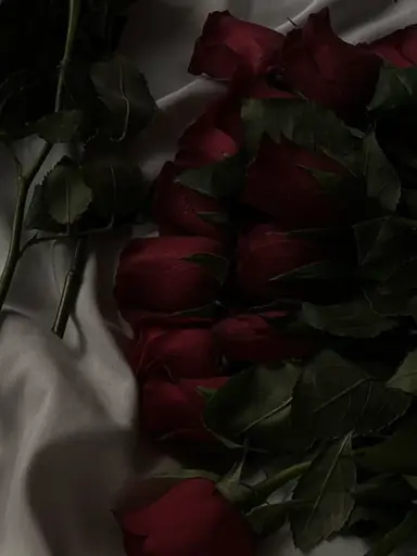 Profile image of 8 step brothers