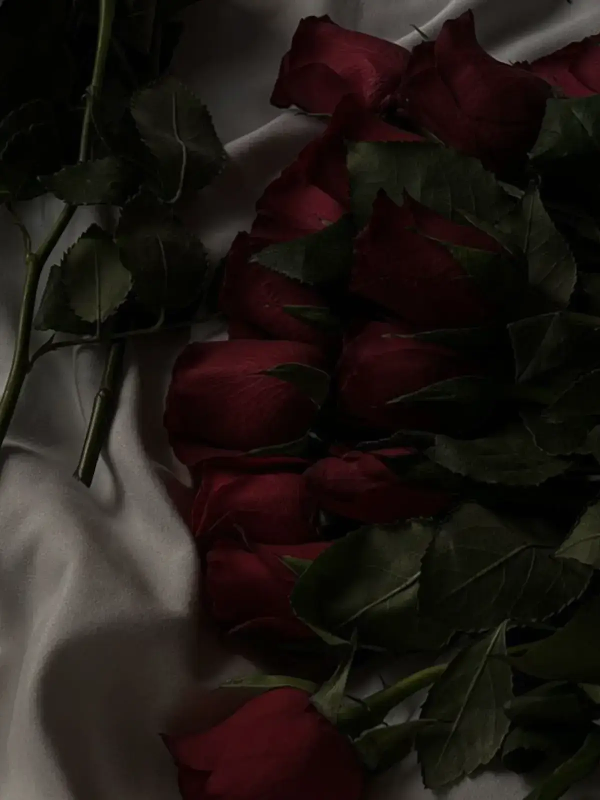 SicklyEel7995의 8 step brothers