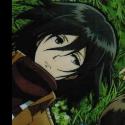 Profile image of ミカサ