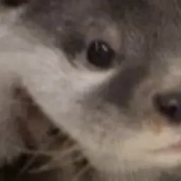 Profile image of リウ