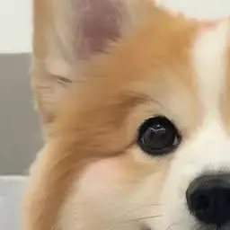 Profile image of ジェヒョン