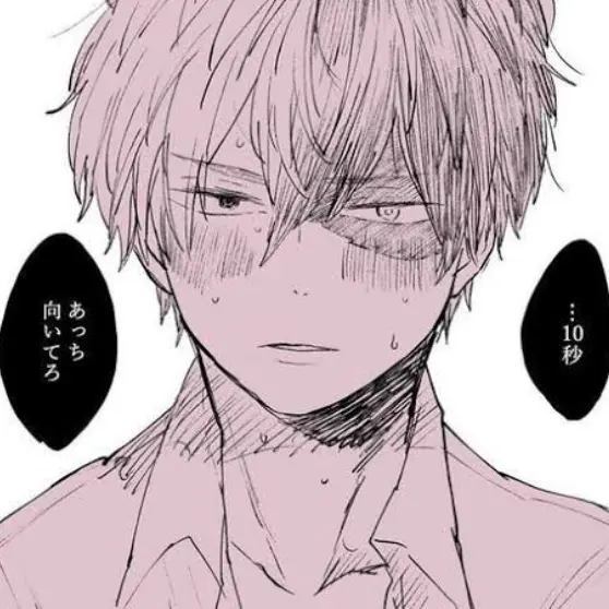 CockyPika4386의 轟焦凍