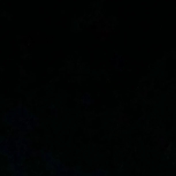 ル