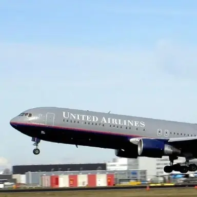 Profile image of 료미