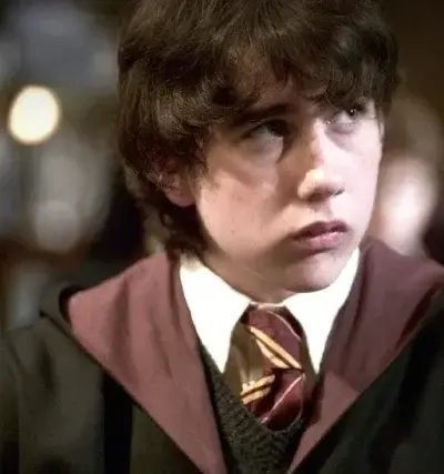 BleakStoat0269의 Neville Longbottom