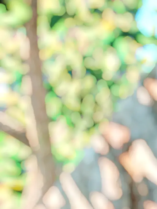 ipanjin의 ヤクザと警察