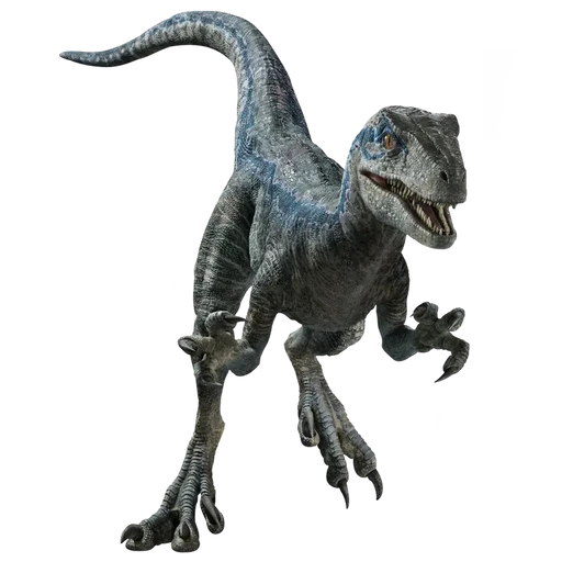 블루