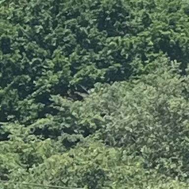 Profile image of 亮平