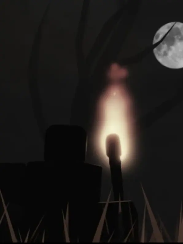 Dihh의 C : \ The_Fields