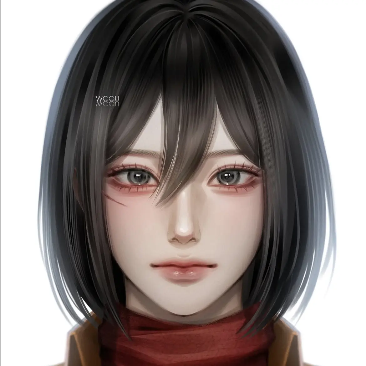 Levi_steal30cm의 미카사