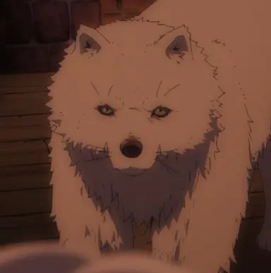 Profile image of 조안