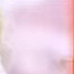 완벽한 공주님 되기