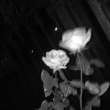 Profile image of 우융