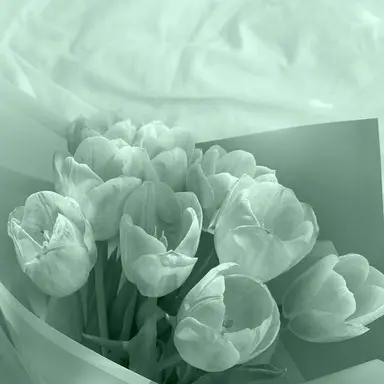 Profile image of 예엥