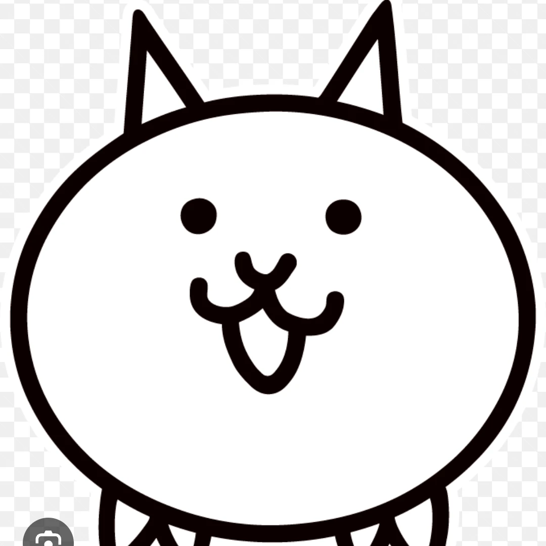 고양이