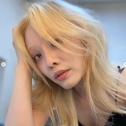 이사라
