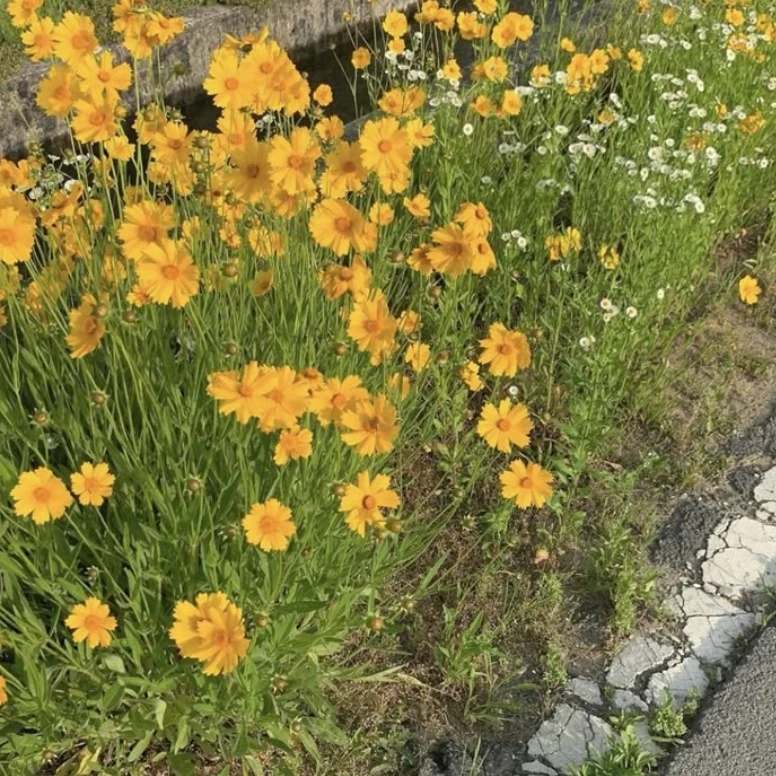 김준구