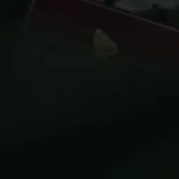 Profile image of 김민정