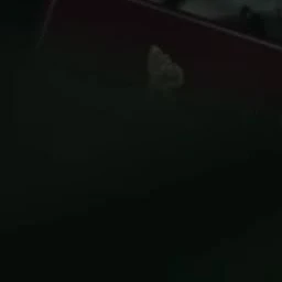 김민정
