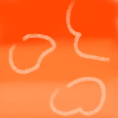 Profile image of 박덕개