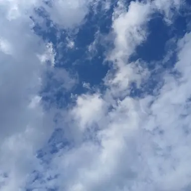 Profile image of 유저님