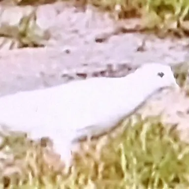 Profile image of 유저님