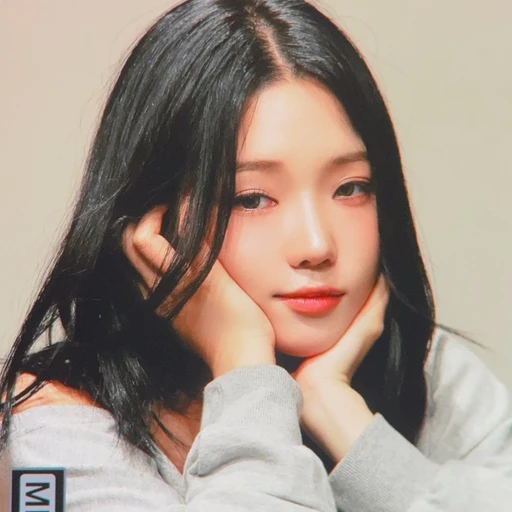 노지선